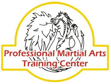 Professional Martial Arts Training Center