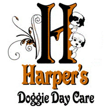 Harper's Doggie Daycare