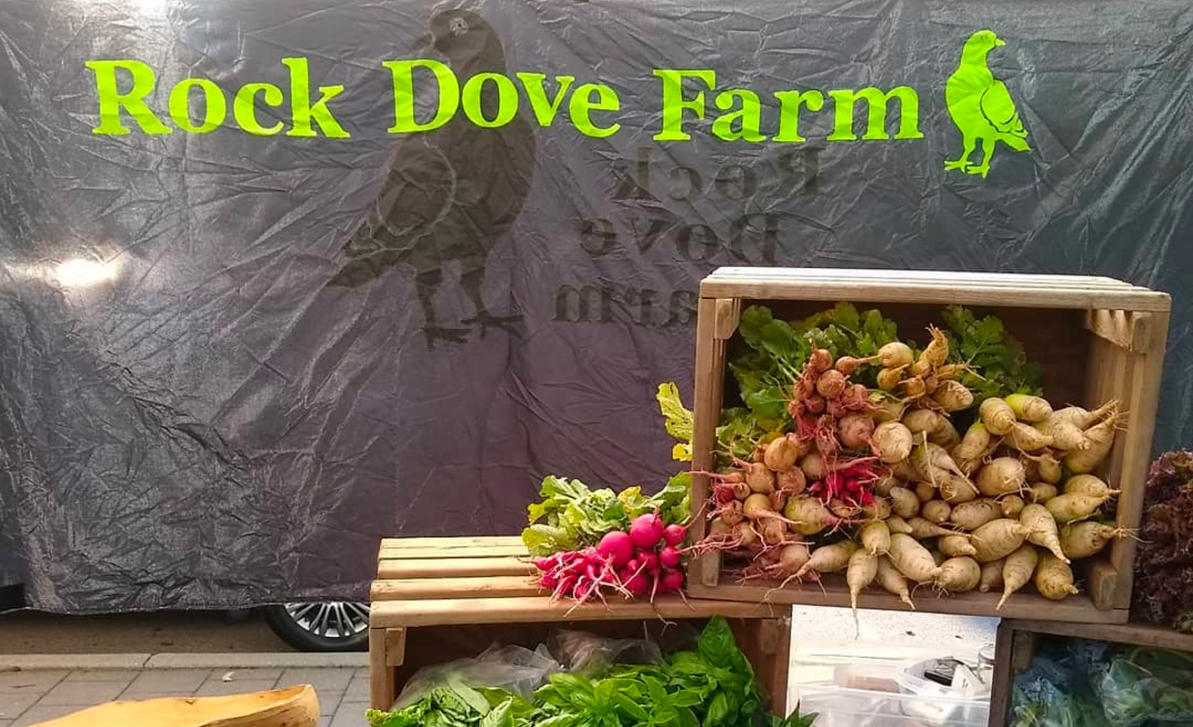 Rock Dove Farm